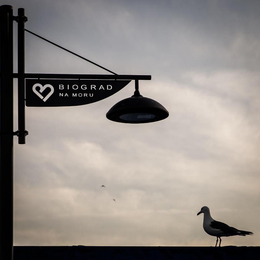 Lägenhet Dina Biograd Na Moru